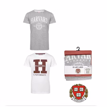 T-Shirt HARVARD 1 Pack