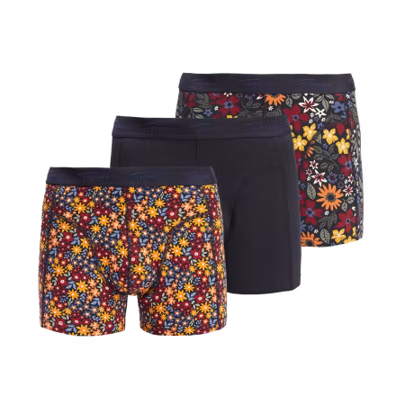 Regular Boxer TOPECO 3 Pack Multi