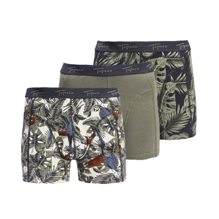 Boxer TOPECO 3 Pack Multi