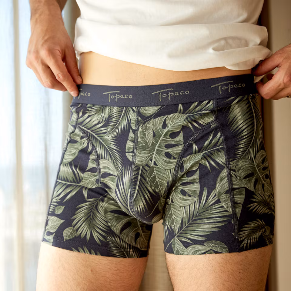 Boxer TOPECO 3 Pack Multi