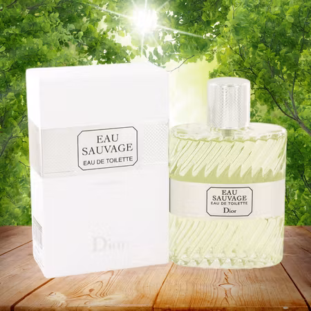 CHRISTIAN DIOR Eau Sauvage Eau de Toilette 100 ml