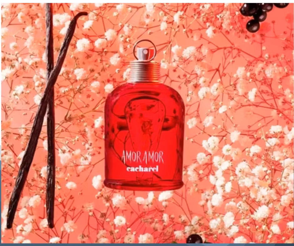 CACHAREL Amor Amor Eau de Toilette 100 ml