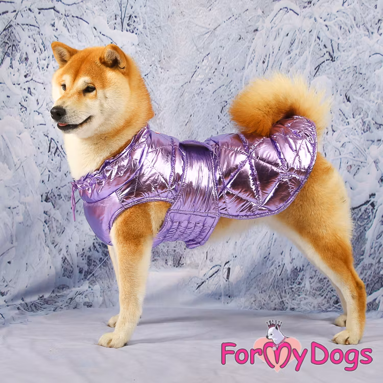 Täcke Caparison "Lila Metallic" Unisex "For My Dogs"
