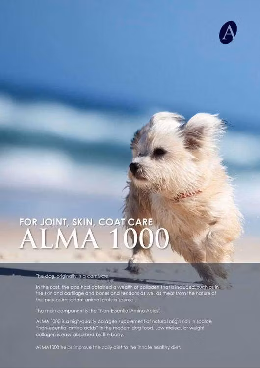 ALMA 1000