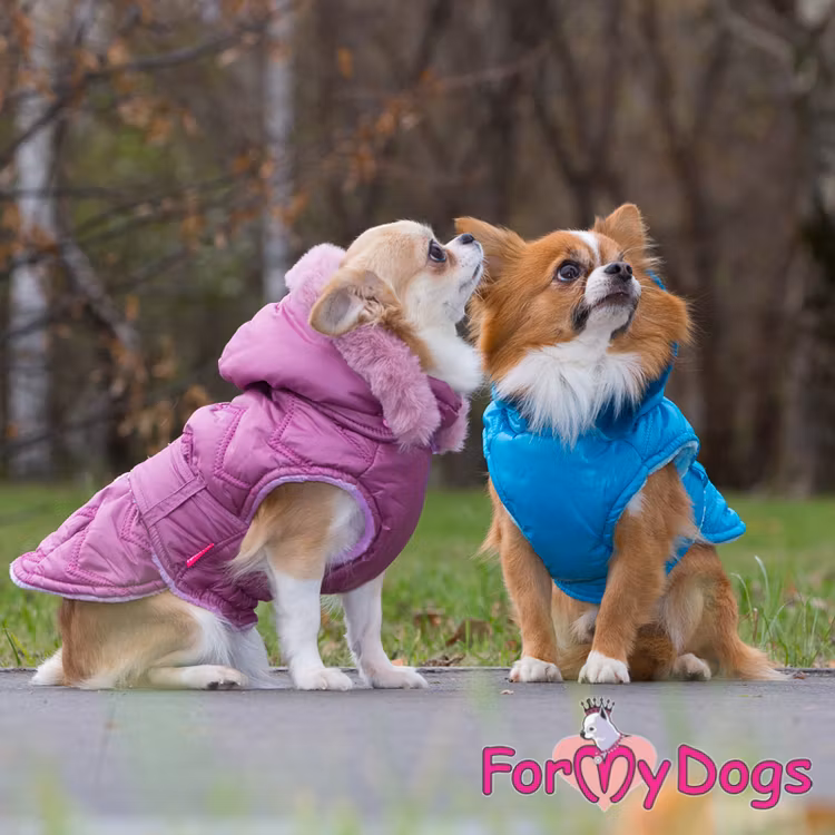 Täcke Caparison "Pink" Unisex  "For My Dogs"