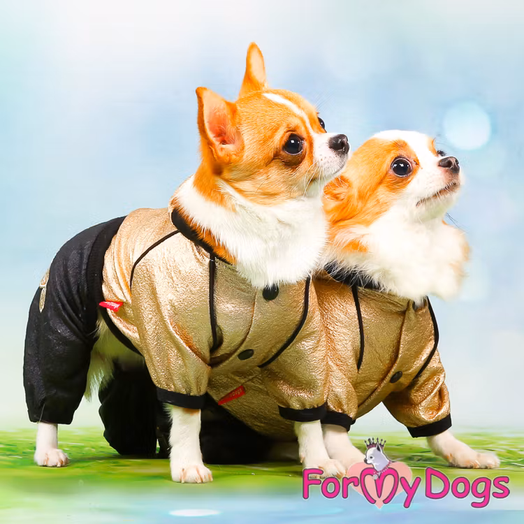 Suit Trikåoverall "Black/Gold" Unisex "For My Dogs" EJ I LAGER