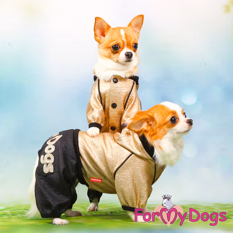 Suit Trikåoverall "Black/Gold" Unisex "For My Dogs" EJ I LAGER