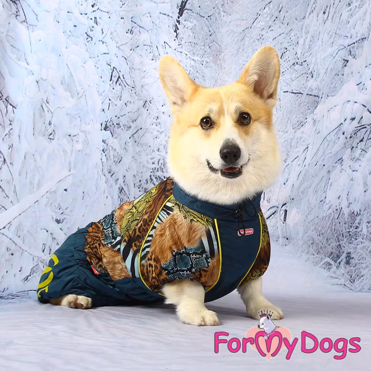 Vinteroverall "Blå wild pattern" Hane "For My Dogs"