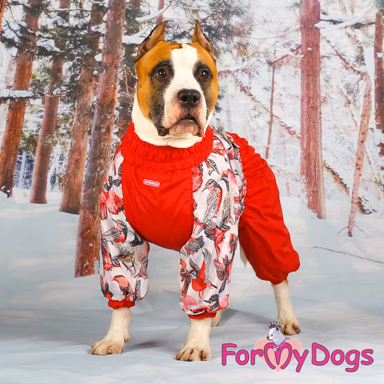 Varm Vinteroverall "Röd fågel" Tik " For My Dogs"