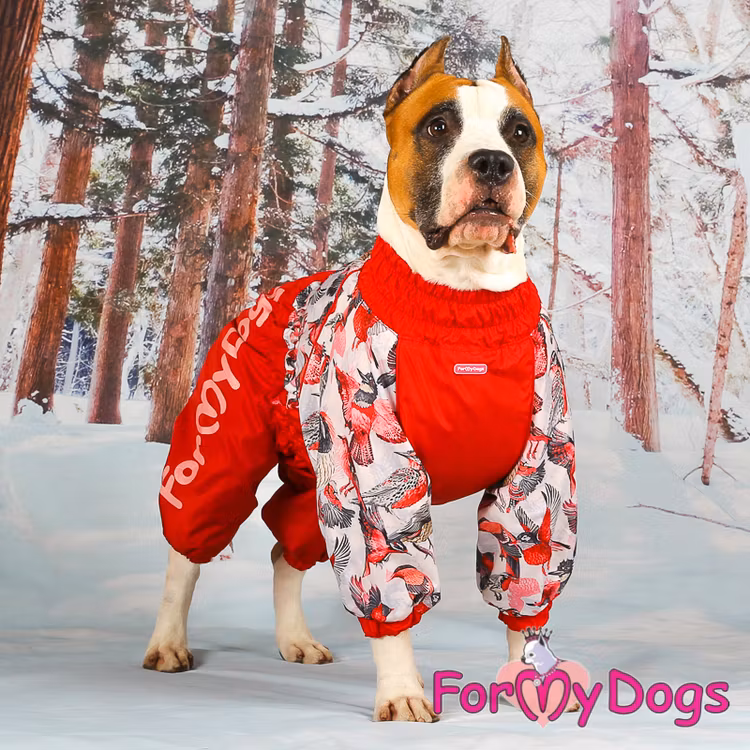 Varm Vinteroverall "Röd fågel" Tik " For My Dogs"