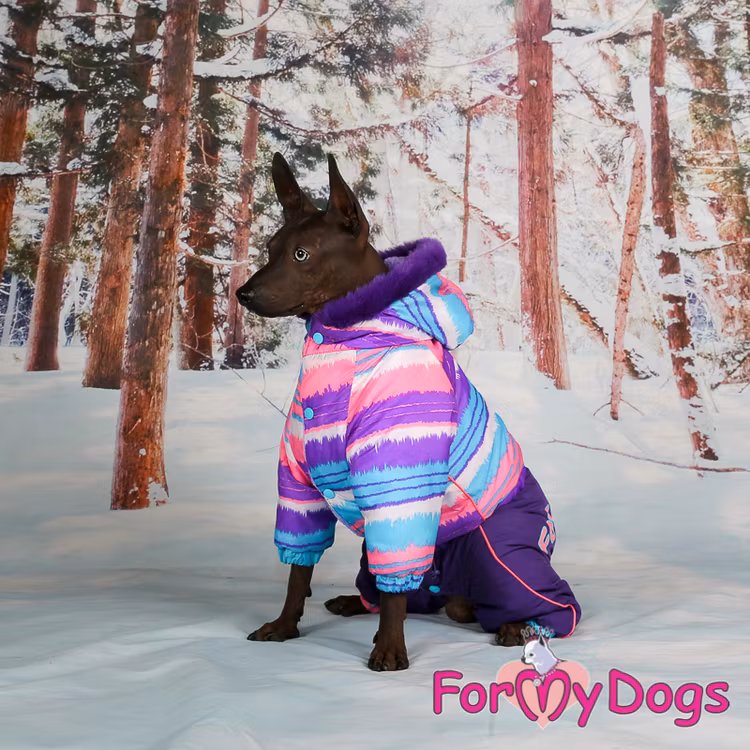 Varm Vinteroverall "Lila Ränder" Tik " For My Dogs"
