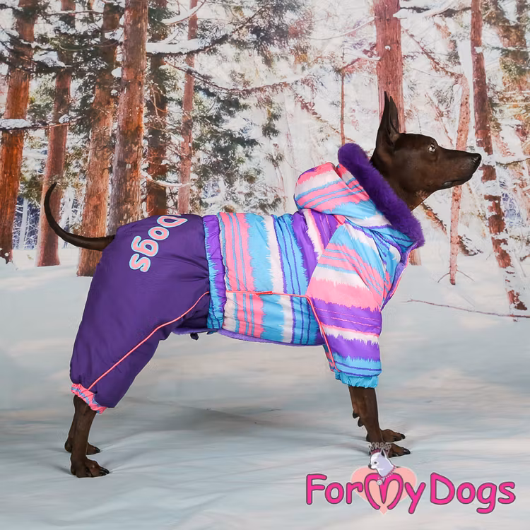 Varm Vinteroverall "Lila Ränder" Tik " For My Dogs"