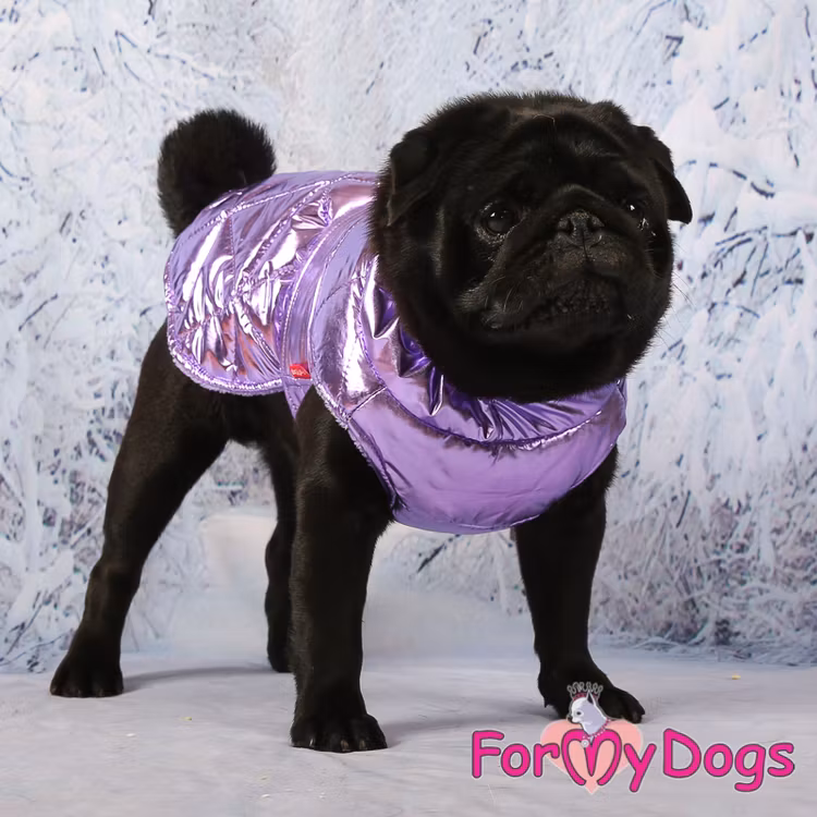 Täcke Caparison "Lila Metallic" Unisex "For My Dogs"
