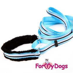 Collar & Leash, Halsband & Koppel i ett "Blå Randig" Unisex "For My Dogs"