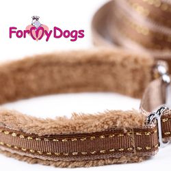 Collar & Leash, Halsband & Koppel i ett "Koppar Beige" Unisex "For My Dogs"