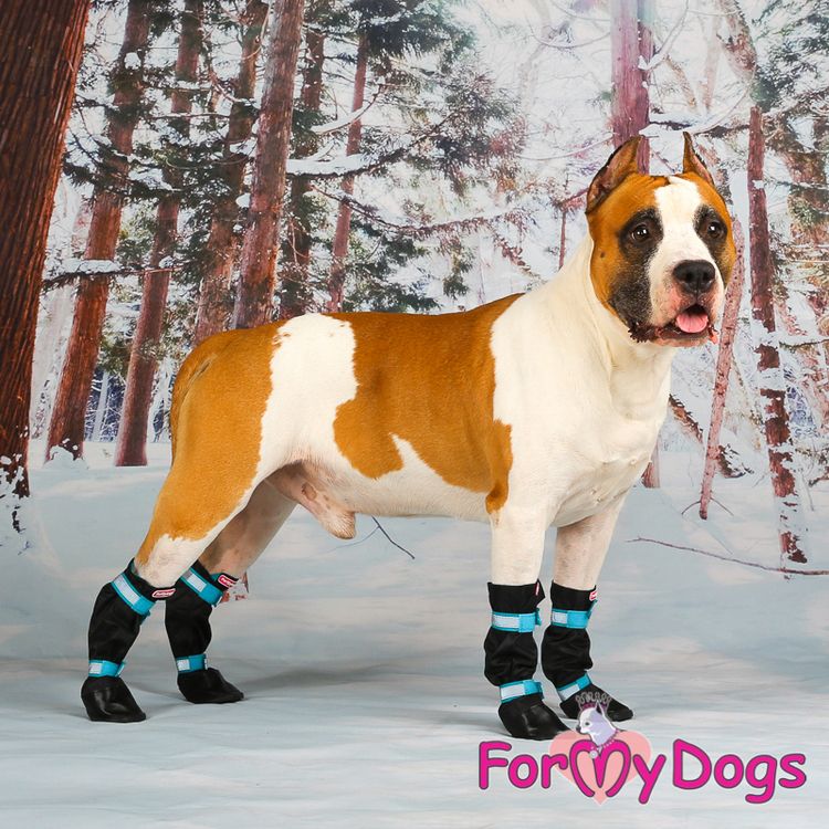 Regnstövlar "Orange" Unisex "For My Dogs" 4-pack