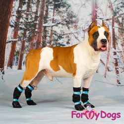 Regnstövlar "Orange" Unisex "For My Dogs" 4-pack