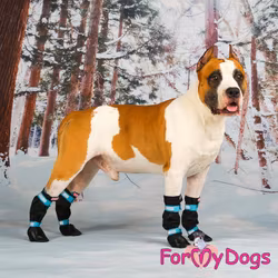 Regnstövlar "Orange" Unisex "For My Dogs" 4-pack