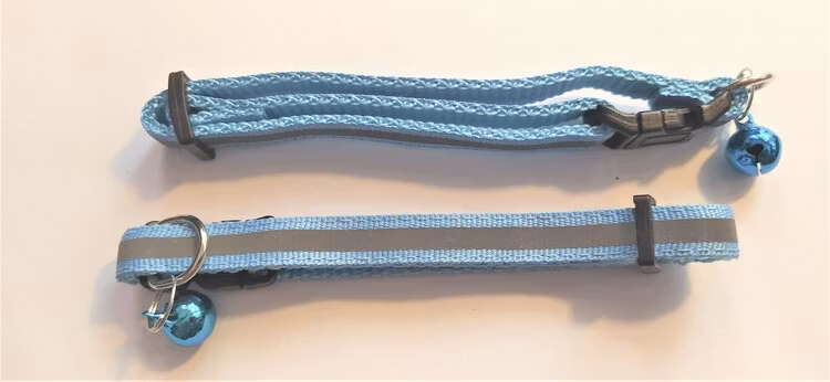 Halsband Valp - Liten ras - Reflex - Ljusblå