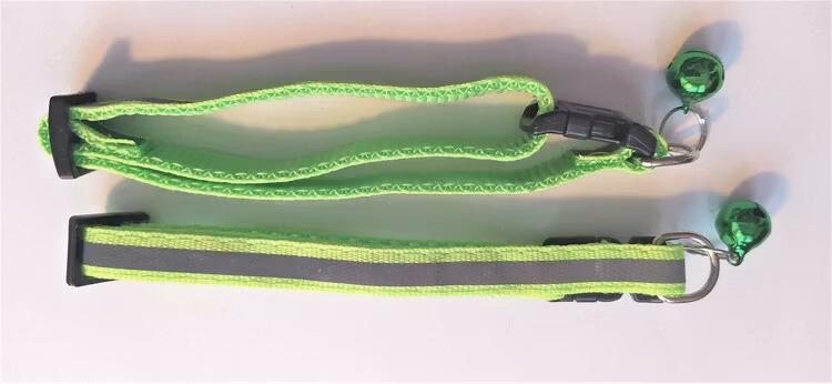 Halsband Valp - Liten ras - Reflex - Neongrön