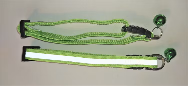 Halsband Valp - Liten ras - Reflex - Neongrön