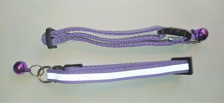 Halsband Valp - Liten ras - Reflex - Lila
