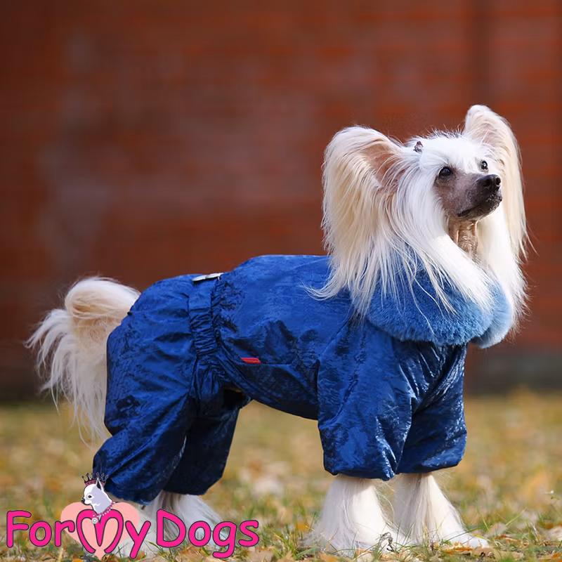 Varm Vinteroverall "Blå Flashig" Hane "For My Dogs"