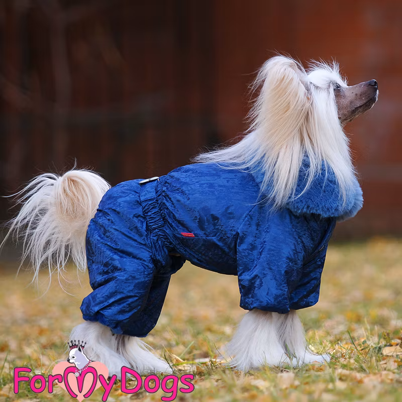 Varm Vinteroverall "Blå Flashig" Hane "For My Dogs"