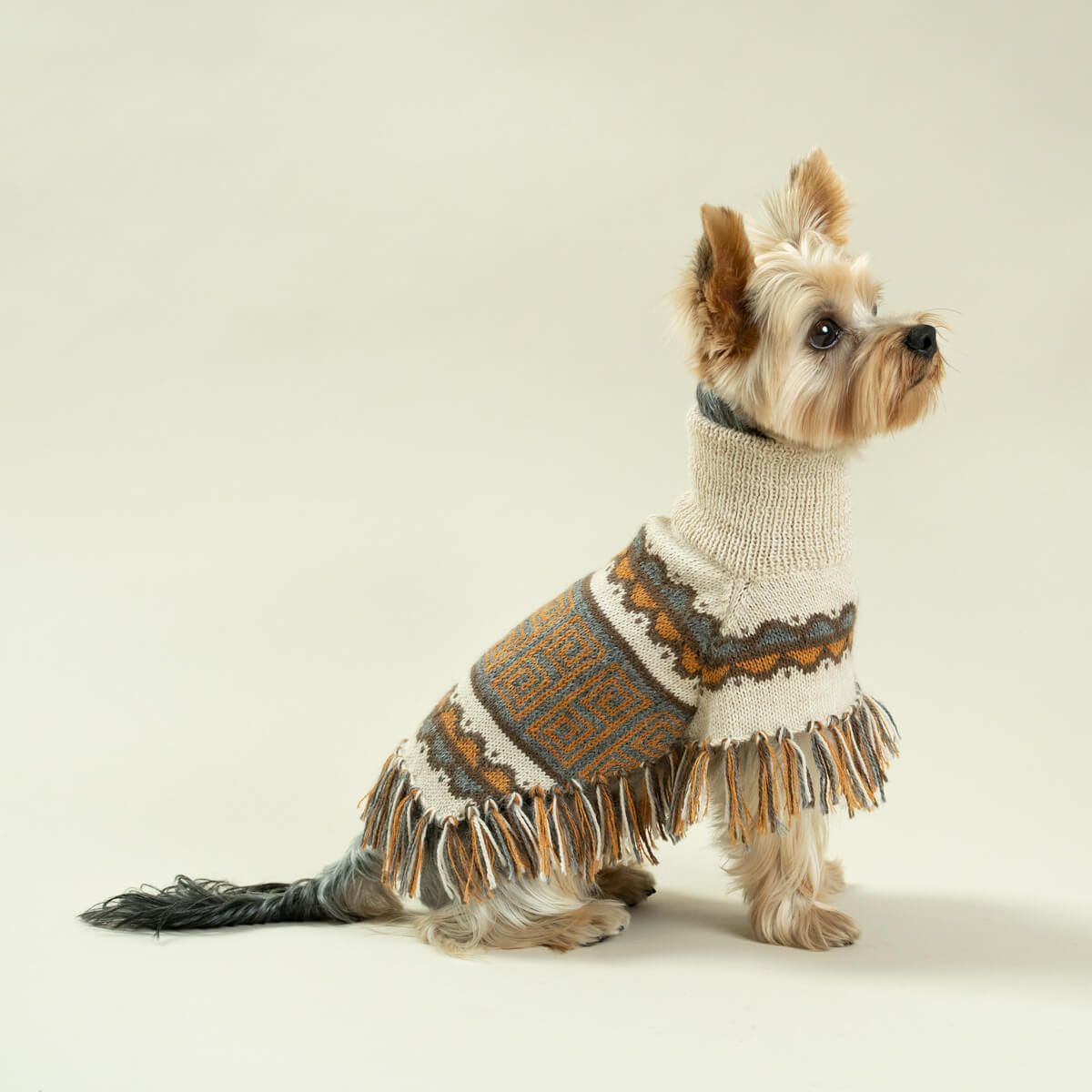 Pisac Alpacka Poncho för hund Pisac Alpaca Dog Poncho "Alqo Wasi Peruvian Dogwear"