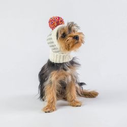 Mössa Christmas Rainbow Alpaca Dog Hat "Alqo Wasi Peruvian Dogwear"