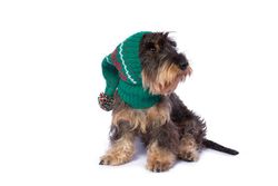 Mössa Christmas Snowflakes Green Alpaca Dog Hat "Alqo Wasi Peruvian Dogwear"