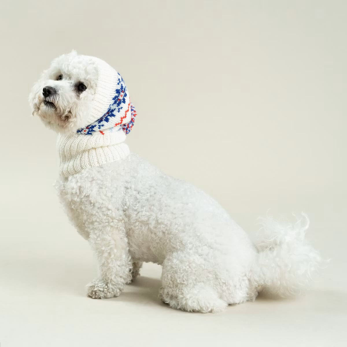 Mössa Holiday Alpaca Dog Hat "Alqo Wasi Peruvian Dogwear"