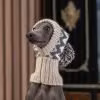 Mössa Woolly Winter Alpaca Dog Hat "Alqo Wasi Peruvian Dogwear"