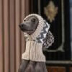 Mössa Woolly Winter Alpaca Dog Hat "Alqo Wasi Peruvian Dogwear"