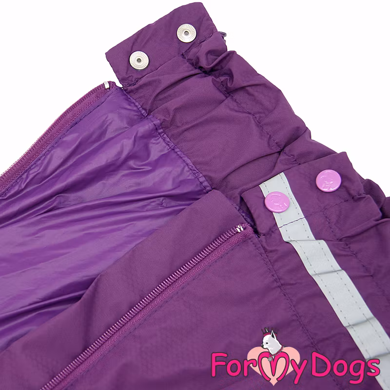 Regnoverall  "Alpheratz" Tik "For My Dogs"