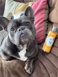 WildWash 2-in-1 Charity Schampo & Balsam
