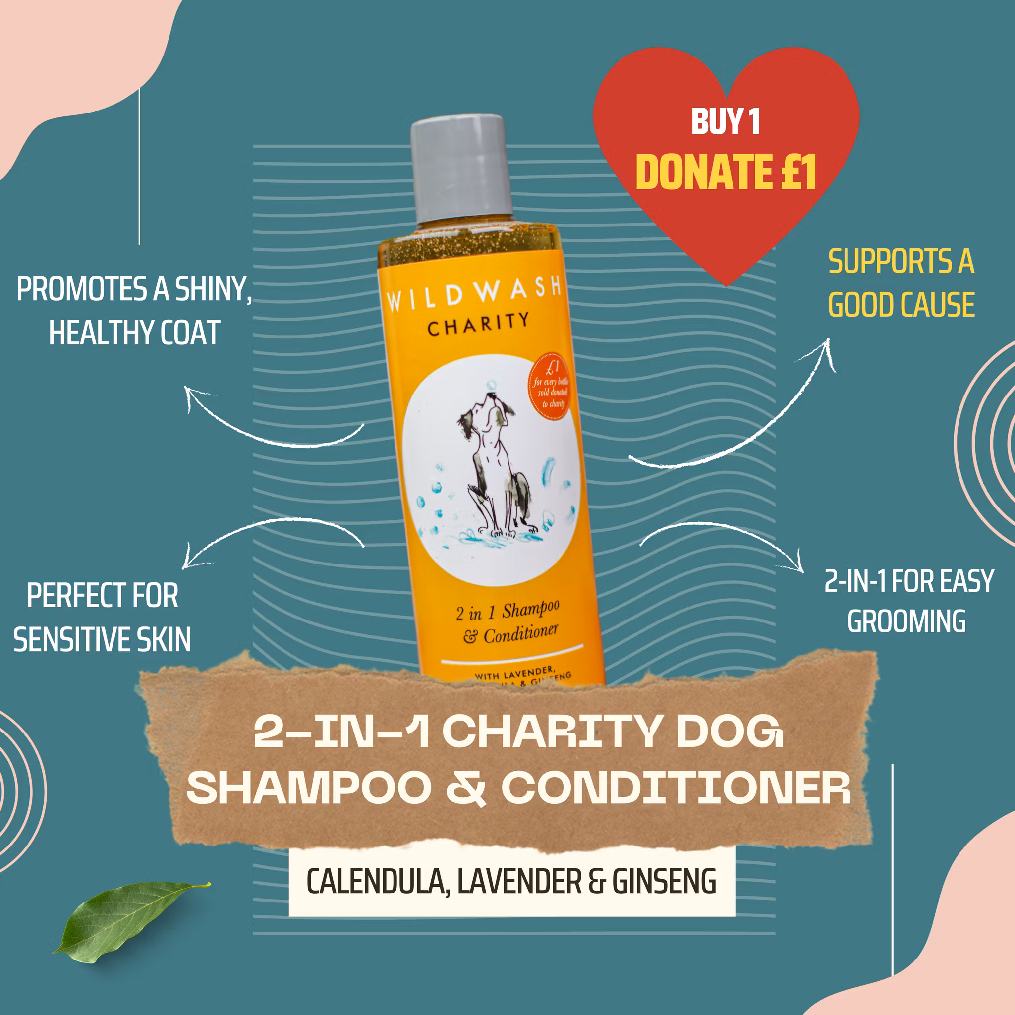 WildWash 2-in-1 Charity Schampo & Balsam