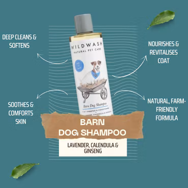 WILDWASH Barn Dog 2-in-1 Schampo & Balsam