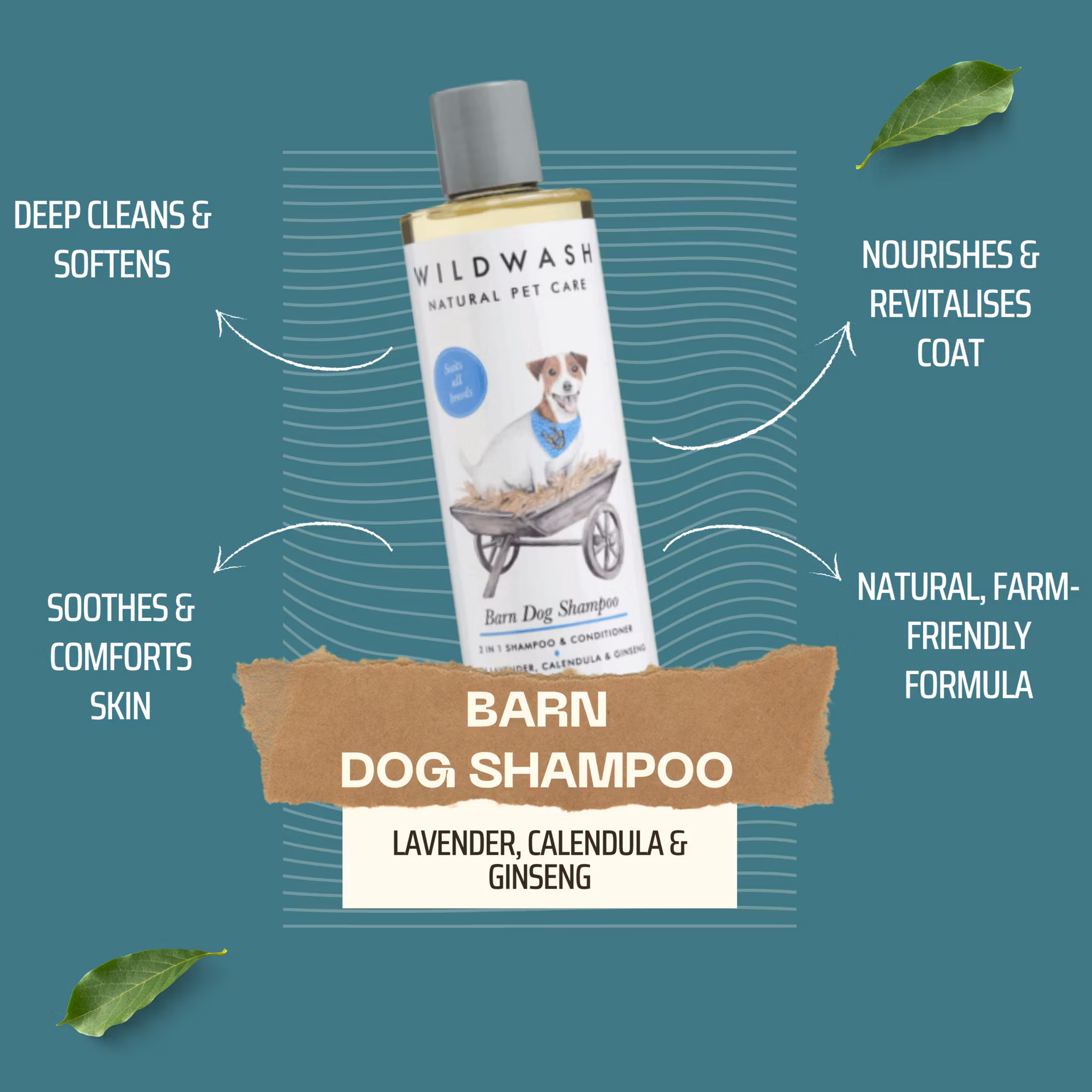 WILDWASH Yard Dog 2-in-1 Schampo & Balsam