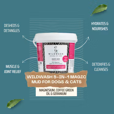WILDWASH 5-in-1 Magic Mud – Lermask för hund & katt 1 liter