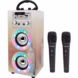 Dynasonic Karaoke Maskin Med Mikroner