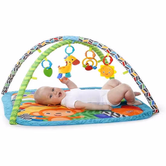 Bright Starts Zippy Zoo Babygym