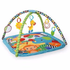 Bright Starts Zippy Zoo Babygym