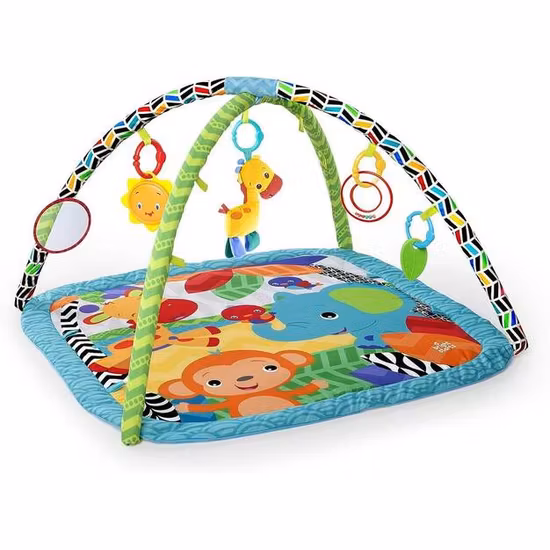 Bright Starts Zippy Zoo Babygym