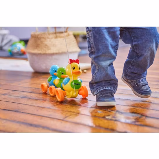 Toomies Ankfamilj Dragleksak