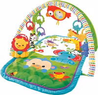 Fisher Price Babygym GXC36