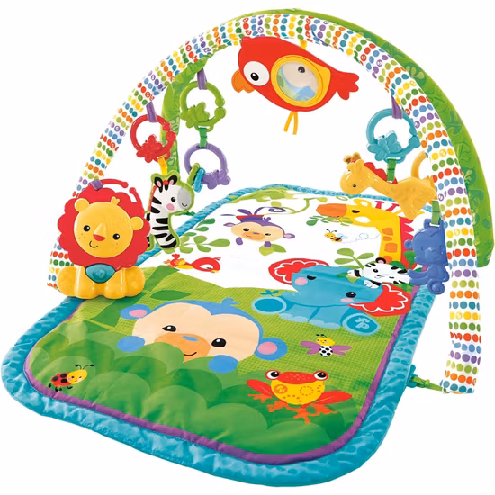 Fisher Price Babygym GXC36