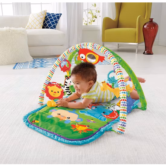 Fisher Price Babygym GXC36
