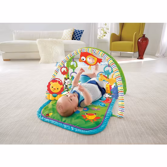Fisher Price Babygym GXC36