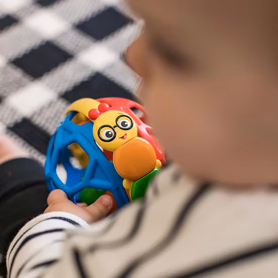 Baby Einstein Bendy Ball Skallra